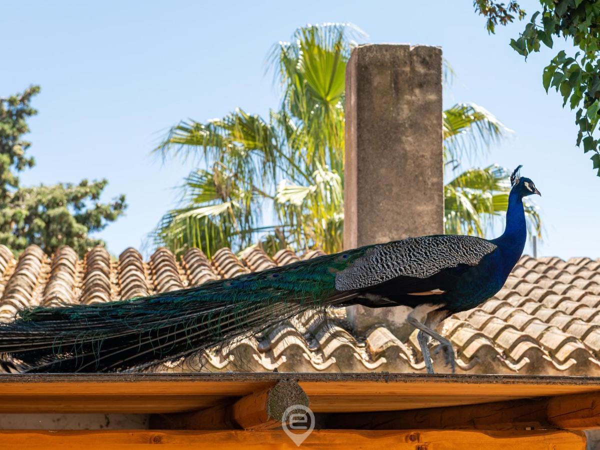 Tanca De Mar Apartment Maracalagonis ภายนอก รูปภาพ