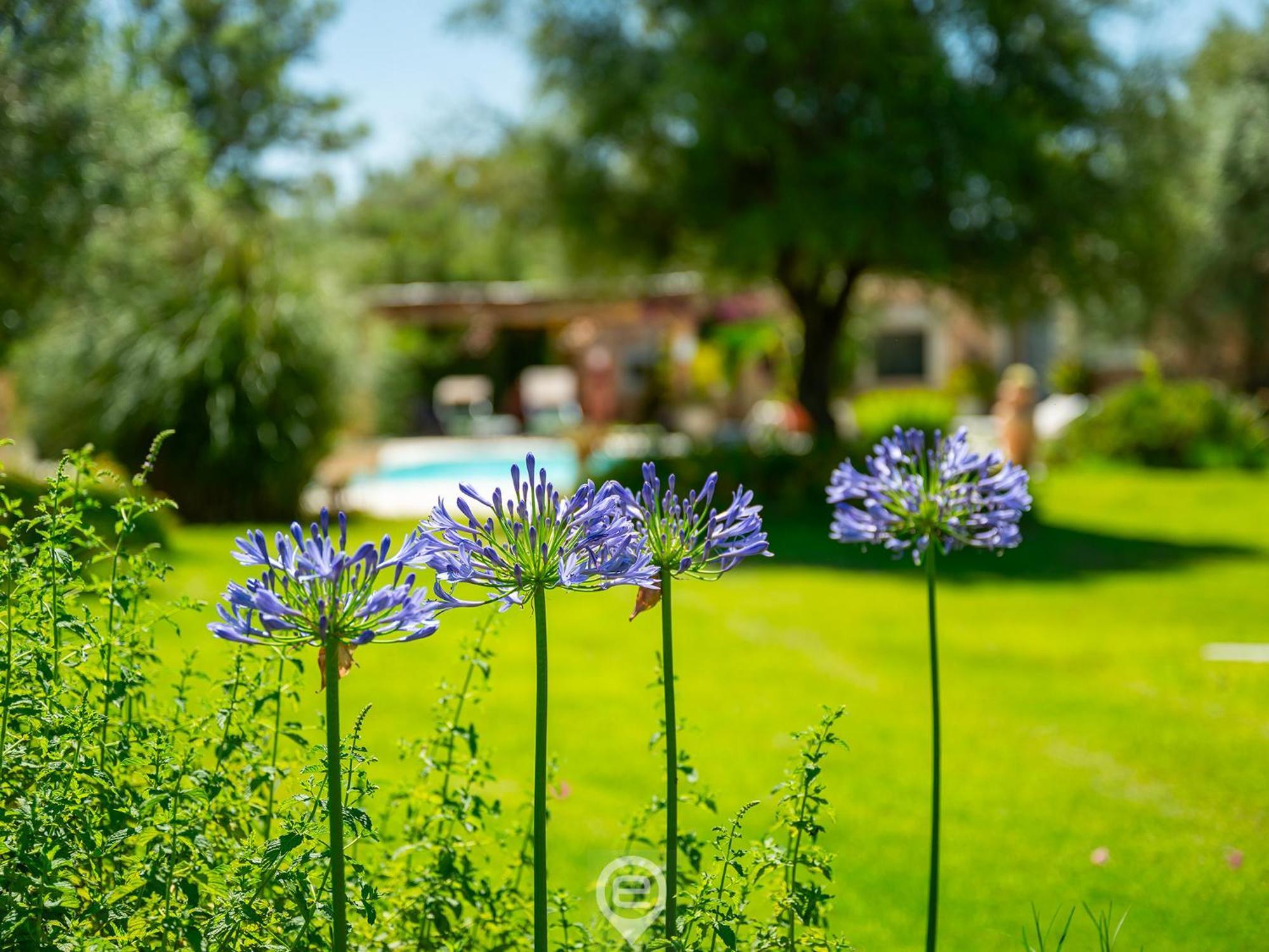 Tanca De Mar Apartment Maracalagonis ภายนอก รูปภาพ
