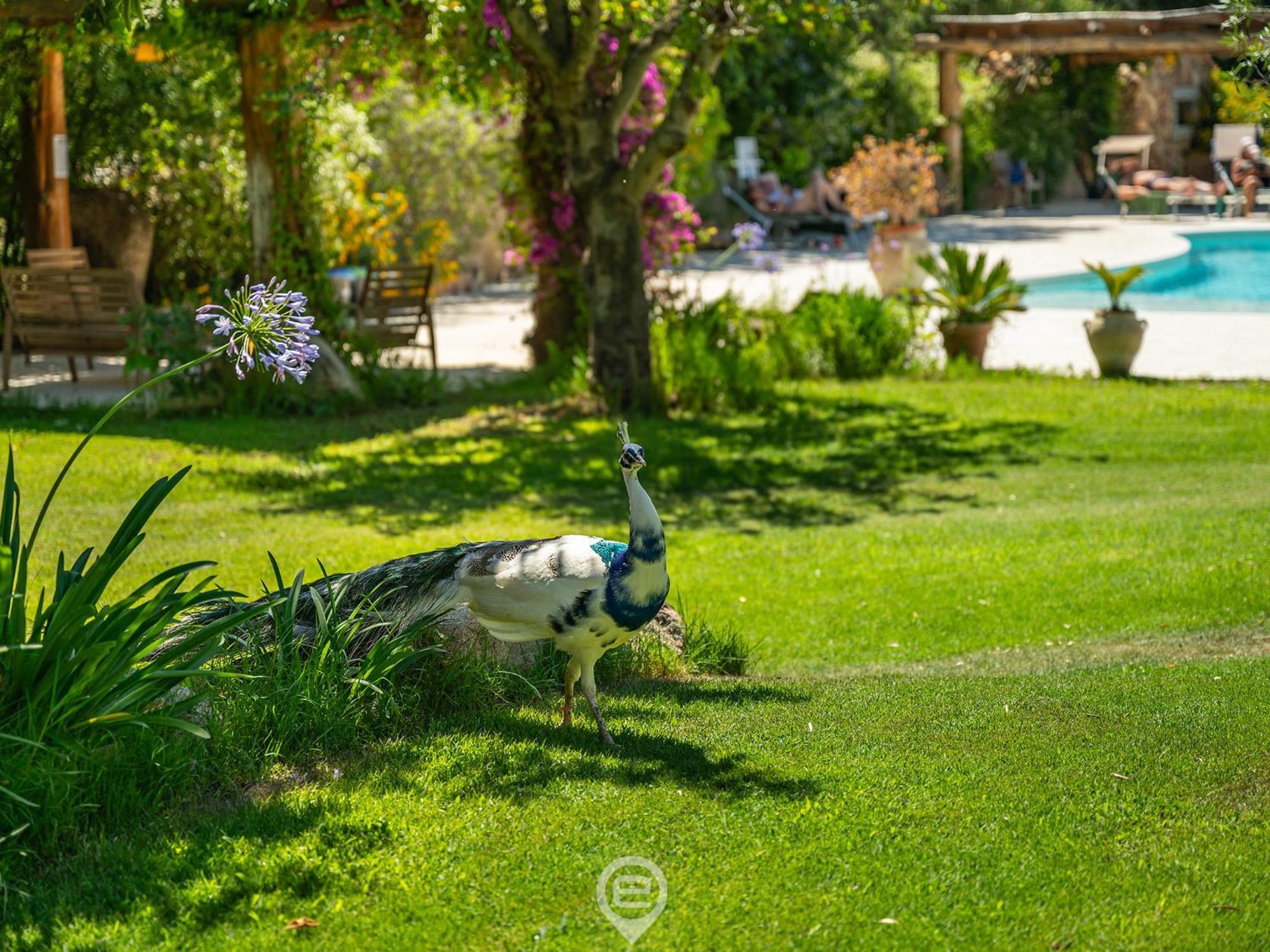 Tanca De Mar Apartment Maracalagonis ภายนอก รูปภาพ